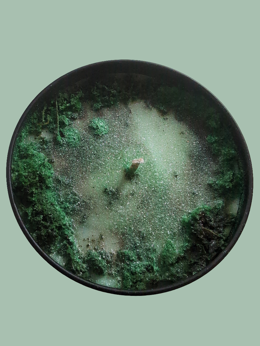 Money Drawing Candle – Attract Wealth & Abundance, Prosperity (8oz)